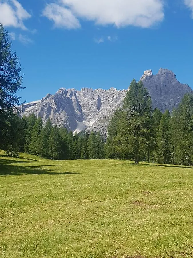 Appartamento Comelico Dolomiti Candide 0*,  Italy